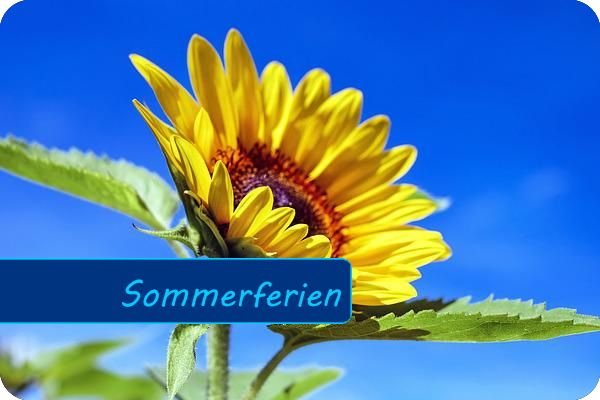 Bild mit der Überschrift "Sommerferien", das eine große gelbe Sonnenblume vor einem blauen, wolkenfreien Himmel zeigt.